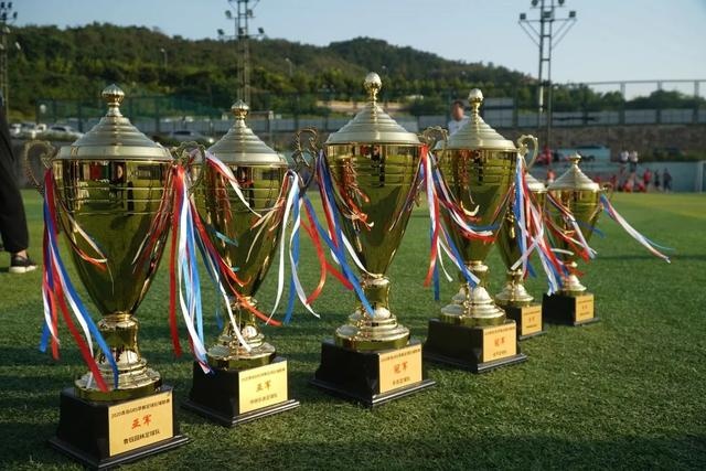 外媒盘点金球奖前30最佳阵容 维哈姆前锋马丁守门